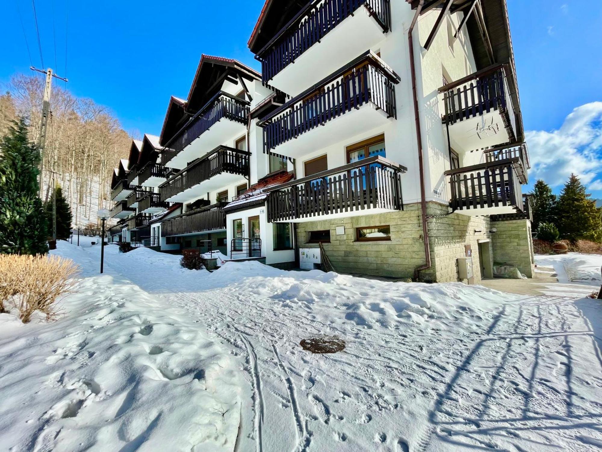 Champion'S Apartment Balkon Garaz Klima 什切尔克 外观 照片